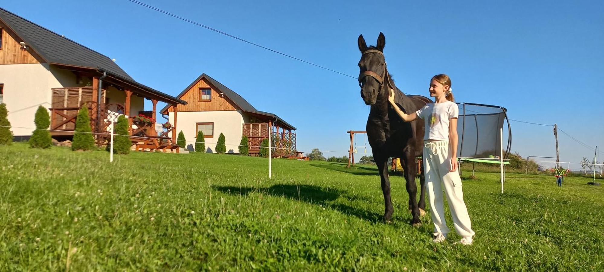 Komfortowe Domki Z Kominkiem Limanowa - Nowy Sacz Экстерьер фото